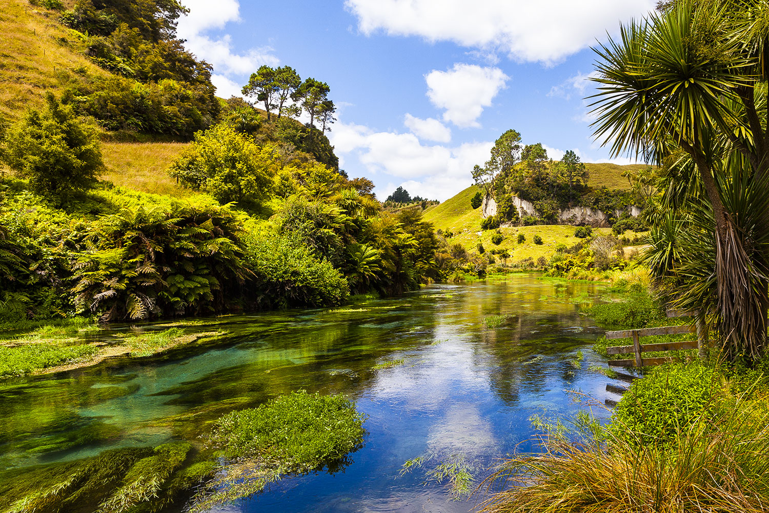 The Blue Spring, South Waikato District, New Zealand